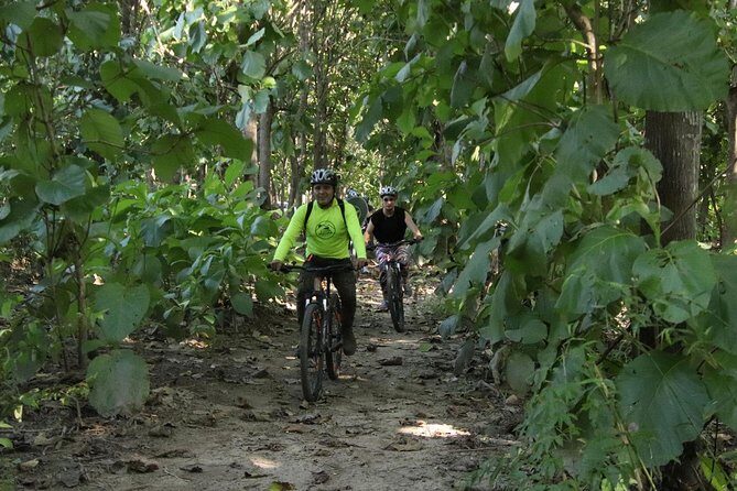 Jungle Bike Tour - A Closer Look at the Jungle Bike Tour Experience