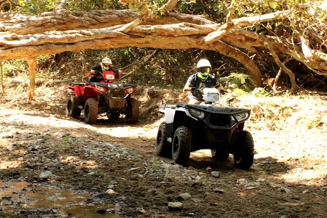 Jungle Single ATV Tour "El Mirador" - The Sum Up