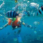 Jungle Tour Adventure in Cancun with Snorkeling - Why This Tour Is Worth It