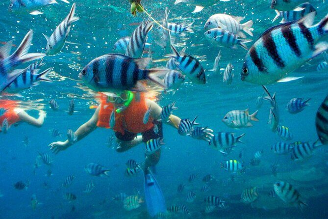 Jungle Tour Adventure in Cancun with Snorkeling - Why This Tour Is Worth It