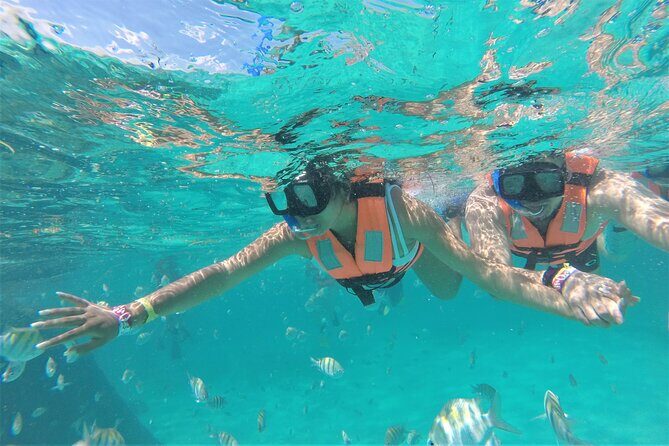 Jungle Tour and Mayan Experience in Cancun with Lunch - Who Will Love This Tour?