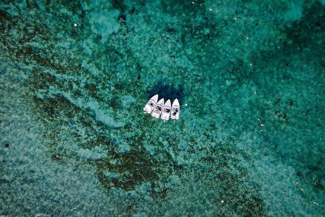 Jungle Tour & Snorkel at Punta Nizuc Reef , Underwater museum - Final Thoughts