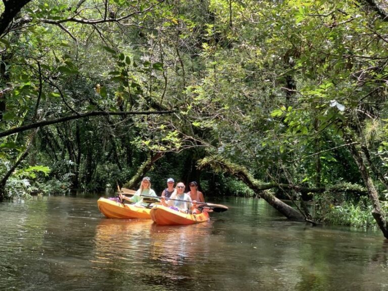 Jupiter: Wild and Scenic Loxahatchee River Kayak Tour - Final Thoughts
