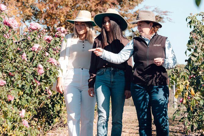 Jurlique Farm Private Immersion Tour - Why This Tour Offers True Value