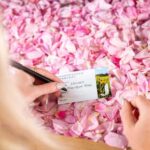 Jurlique Handpicked Masterclass - An In-Depth Look at the Jurlique Handpicked Masterclass