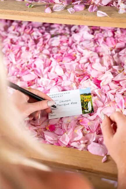 Jurlique Handpicked Masterclass - An In-Depth Look at the Jurlique Handpicked Masterclass