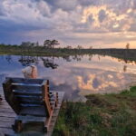 Jurmala: Kemeri National Park Sunset Trip - Value and Practicality