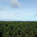 Jurmala sunset tour - FAQ: Practical Questions About the Jurmala Sunset Tour