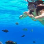 Ka'anapali Beach: Coral Reef Snorkel and Turtle Spotting - The Itinerary in Detail
