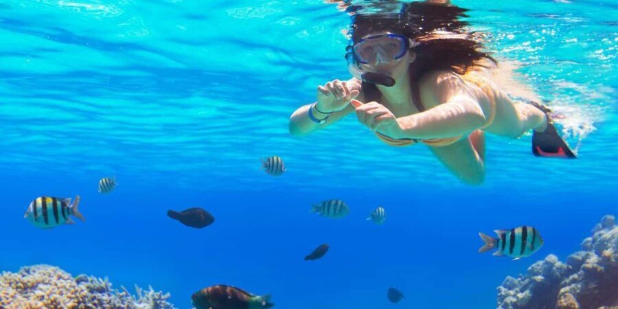 Ka'anapali Beach: Coral Reef Snorkel and Turtle Spotting - The Itinerary in Detail