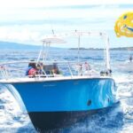 Kaanapali Beach Parasailing: Soar Above Mauis Stunning Coastline - Who Should Consider This Tour?