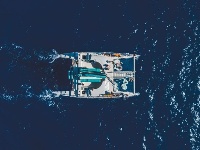 Kaanapali: Whale Watching Cruise with Open Bar - What to Expect: A Typical Whale Watching Adventure