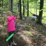 Kahlenberg Vienna: 3D-Archery Park Entry-Ticket & Equipment - The Experience: What Youll Do