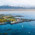 Kaikoura Day Tour From Christchurch - FAQ: Your Practical Questions Answered