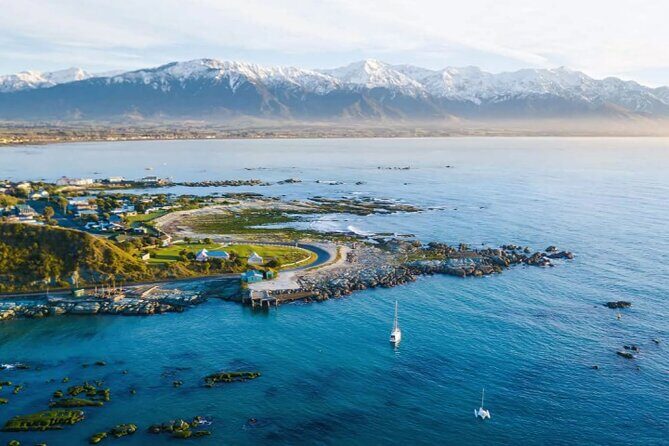 Kaikoura Day Tour From Christchurch - FAQ: Your Practical Questions Answered