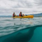 Kaikoura: Private Guided Kayak Tour with Seals - Practical Details and Value