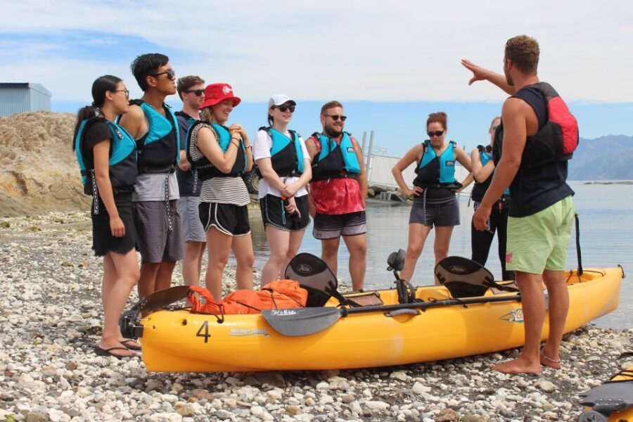 Kaikoura: Seal-Watching Pedal Kayak Tour - Authentic Reviews and Experiences