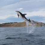 Kaikoura: Sunset Evening Kayaking Tour - Who Should Consider This Tour?