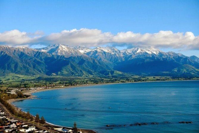 Kaikoura Swim with Dolphins Tour from Christchurch - The Sum Up