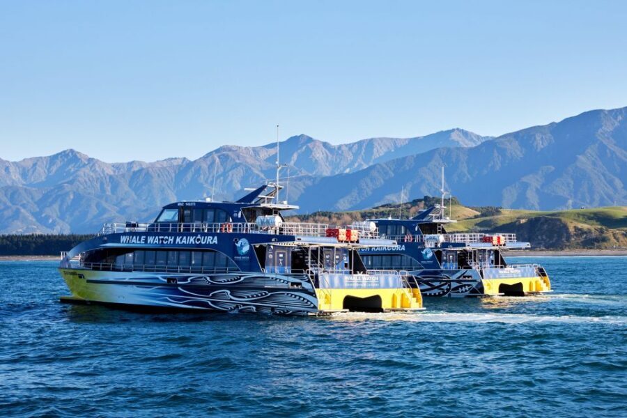 Kaikoura: Whale Watching Cruise - Practical Tips