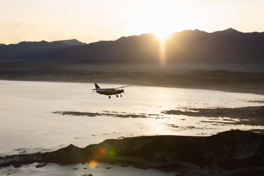 Kaikoura: Whale Watching Flight with Commentary - The Itinerary and Experience