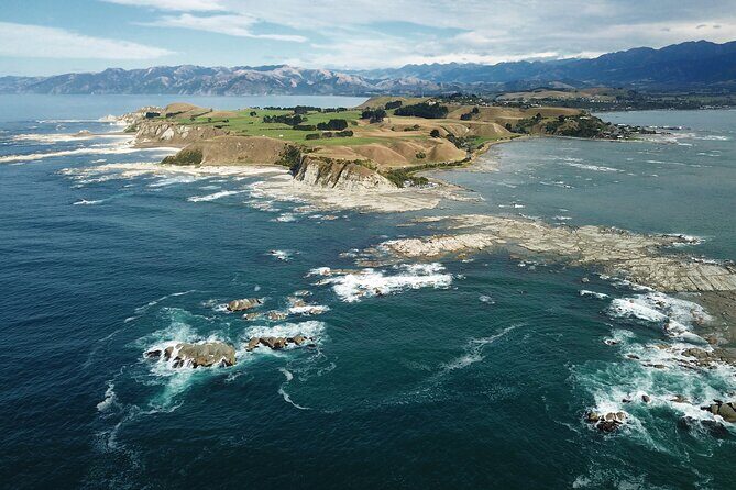 Kaikura Day Tour From Christchurch (Small Group, Carbon Neutral) - An In-Depth Look at the Kaikoura Day Tour