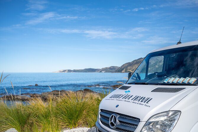 Kaikura Day Tour From Christchurch With Whale Watch - What Makes This Tour Stand Out