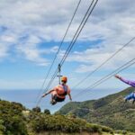 Kaikura: Zipline and Native Forest Adventure Trip - The Ziplining Experience