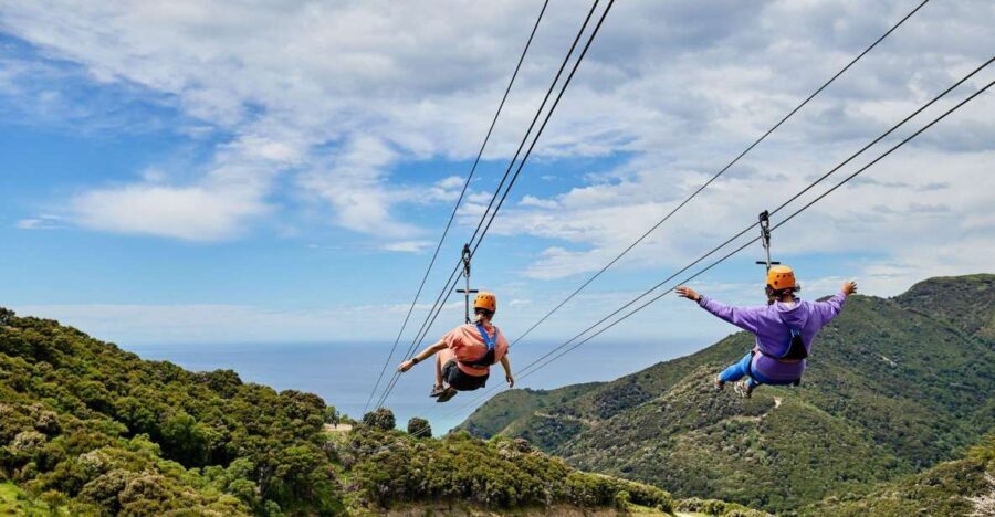 Kaikura: Zipline and Native Forest Adventure Trip - The Ziplining Experience