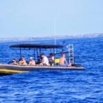 Kailua-Kona: Private Marine Charter Adventure - Final Thoughts