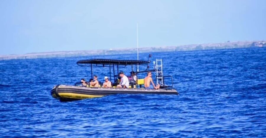 Kailua-Kona: Private Marine Charter Adventure - Final Thoughts