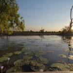 Kakadu, Arnhem Land, Katherine & Litchfield Adventure - Why This Tour Works Well