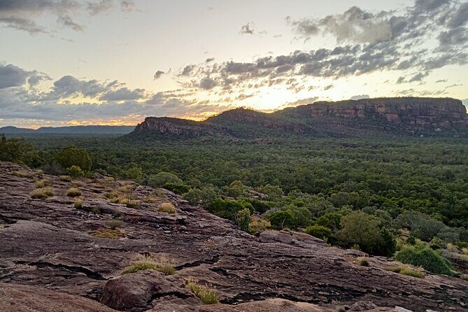 Kakadu Day Tour-Yellow Water-Nourlangie-Ubirr-Cahills-Fogg Dam - Practical Considerations