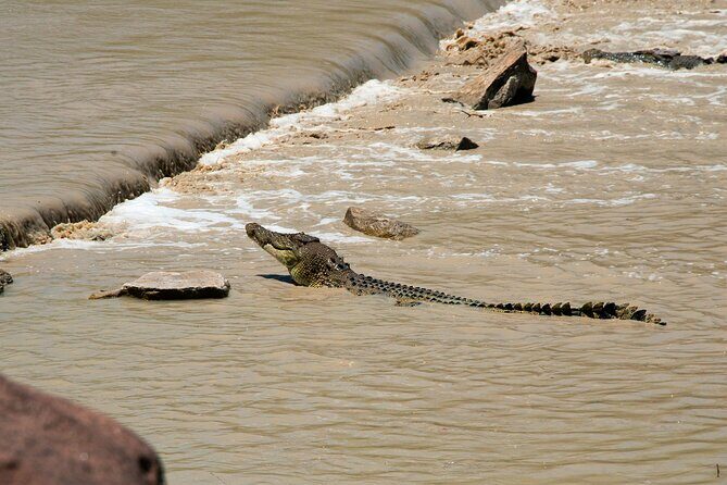 Kakadu National Park Full Day Tour - Sacred Owl Tours - Tour 3A - How This Tour Balances Value and Experience