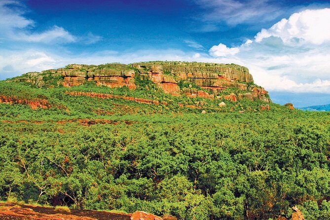 Kakadu, Nourlangie and Yellow Waters Tour from Darwin - Lunch at Cooinda Lodge: A Rest and Recharge