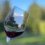 Kakheti.All inclusive Wine tour with family lunch - A Deep Dive into the Tour Experience