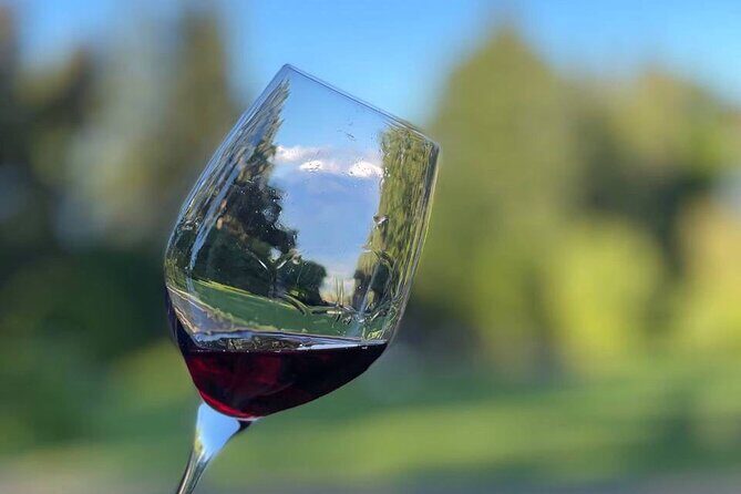 Kakheti.All inclusive Wine tour with family lunch - A Deep Dive into the Tour Experience