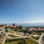 Kakheti: Bodbe, Sighnaghi, and Telavi Full-Day Tour - Who will love this tour?