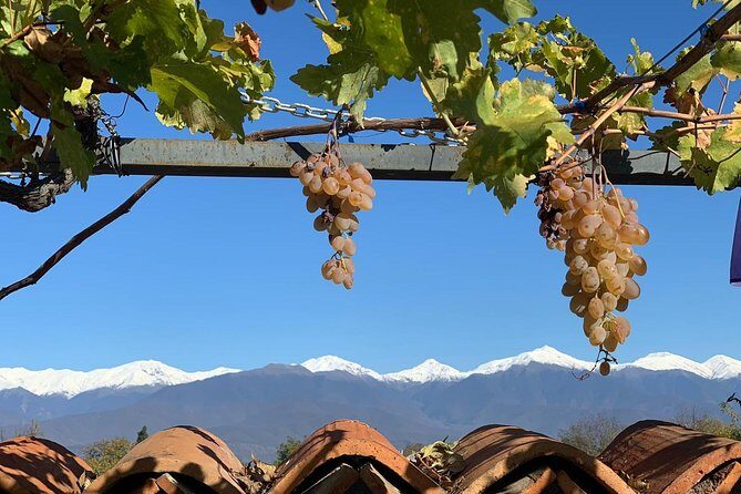 Kakheti tour - Private Full Day Wine tour with Lunch and Wine tasting - What Makes This Tour Stand Out?