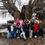 Kakheti: wine region and free wine tasting - In-Depth Review of the Kakheti Wine Tour
