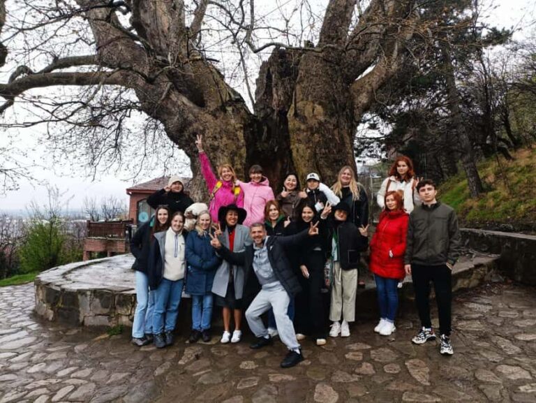 Kakheti: wine region and free wine tasting - In-Depth Review of the Kakheti Wine Tour