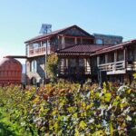 Kakheti Wine Tour and Sightseeing - Key Points