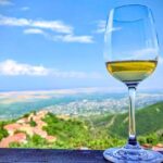 Kakheti Wine Tour for beginners - 3 wineries - Frequently Asked Questions (FAQs)