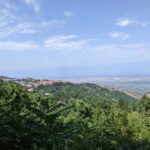 Kakheti: Wine tour from Tbilisi - Enjoy 6 sorts of wine - Who This Tour Is Best For