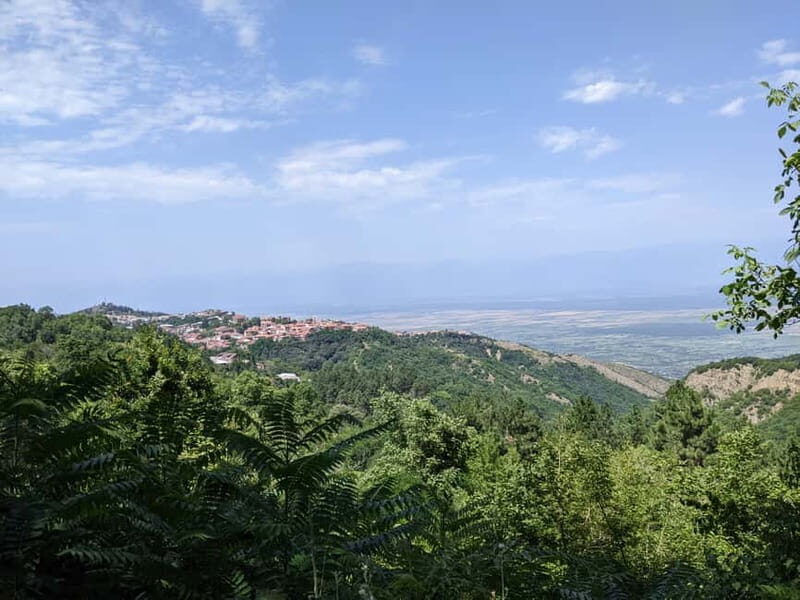 Kakheti: Wine tour from Tbilisi - Enjoy 6 sorts of wine - Who This Tour Is Best For