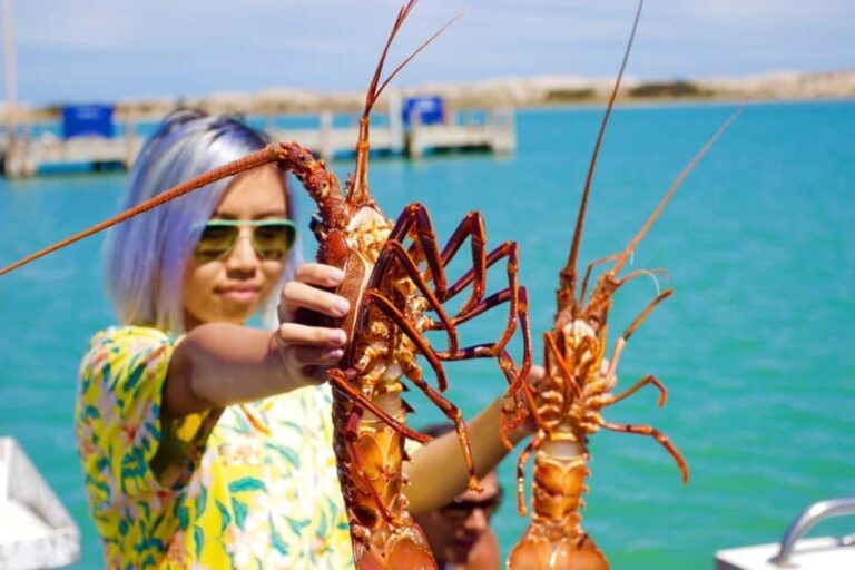 Kalbarri Crayfish Catch & Keep Tour - Why You Should Consider This Tour