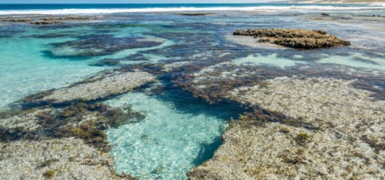 Kalbarri National Park Driving Tour with an APP - Final Thoughts