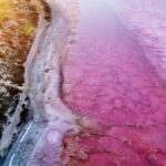 Kalbarri: Pink Lake and Coastal Cliffs Tour - Exploring Kalbarri’s Iconic Spots in Depth