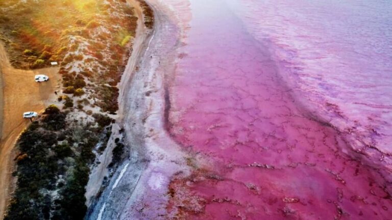 Kalbarri: Pink Lake and Coastal Cliffs Tour - Exploring Kalbarri’s Iconic Spots in Depth