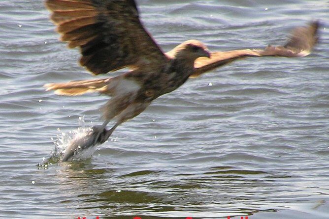 Kalgan Queen Scenic Cruises a four hour sheltered water wildlife tour daily fun. - FAQ